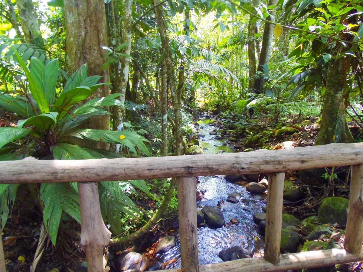 Hotel Valle Azul San Gerardo Quarto foto