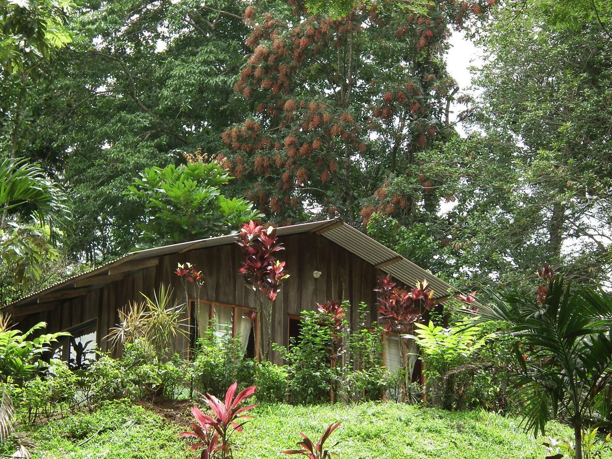 Hotel Valle Azul San Gerardo Quarto foto