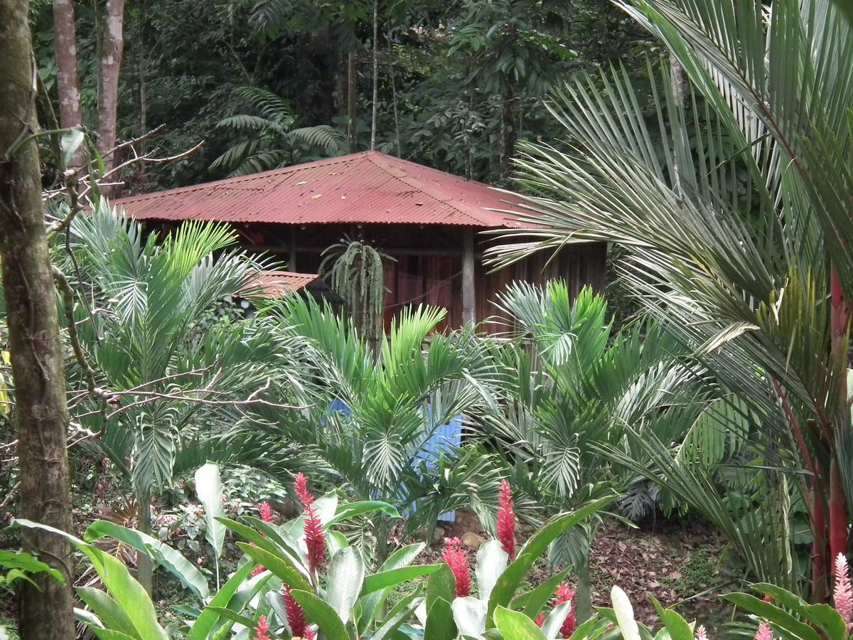Hotel Valle Azul San Gerardo Quarto foto