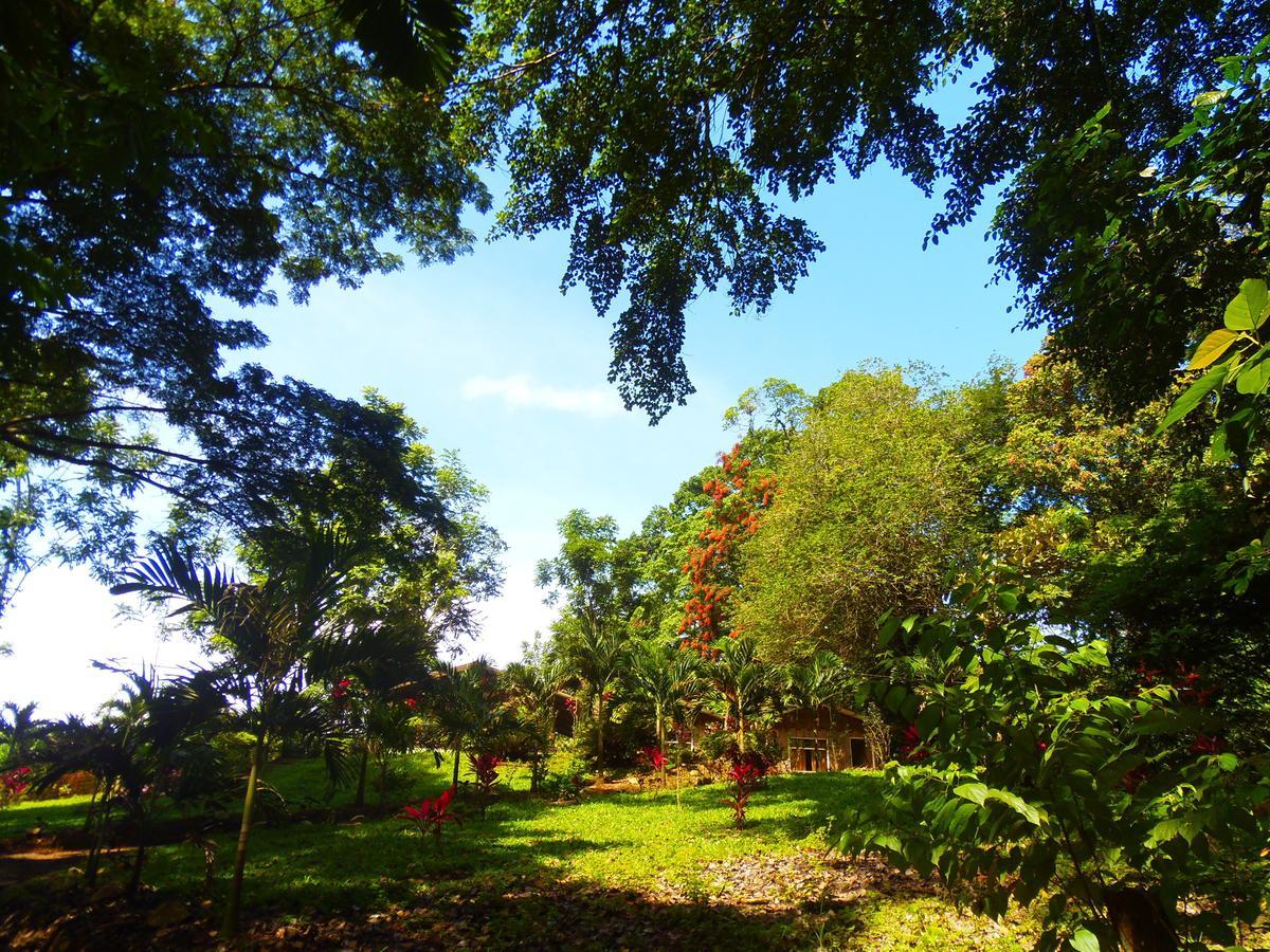 Hotel Valle Azul San Gerardo Quarto foto